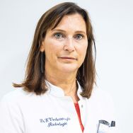 dr. Els Vanherreweghe